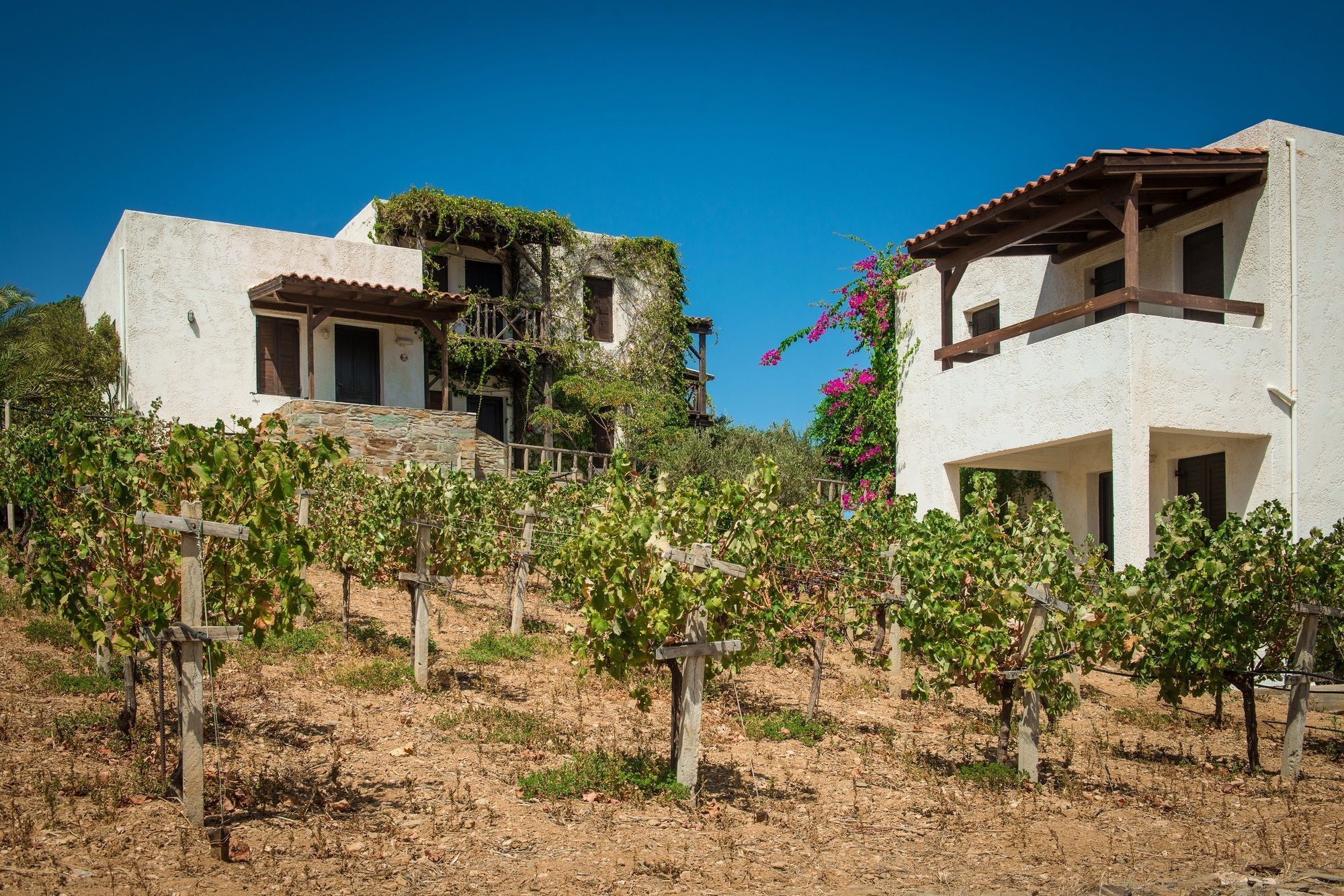 Ambelos Agia Pelagia Exterior foto